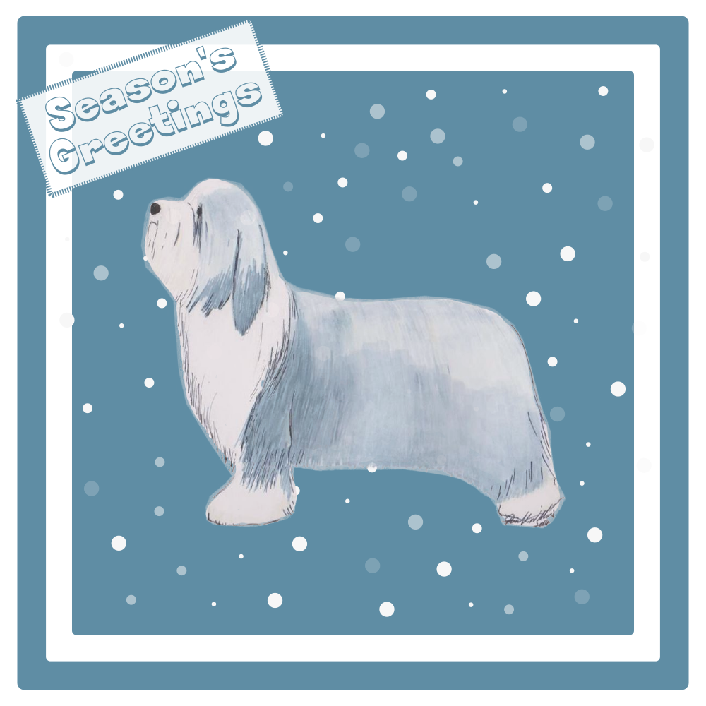Bearded Collie Christmas Card Choice of 3 Card Designs Single or Multi Pack
