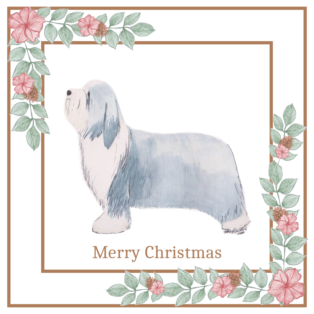 Bearded Collie Christmas Card Choice of 3 Card Designs Single or Multi Pack