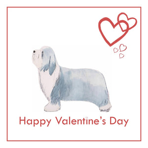 Bearded Collie Valentine's Day Card PERSONALISATION AVAILABLE