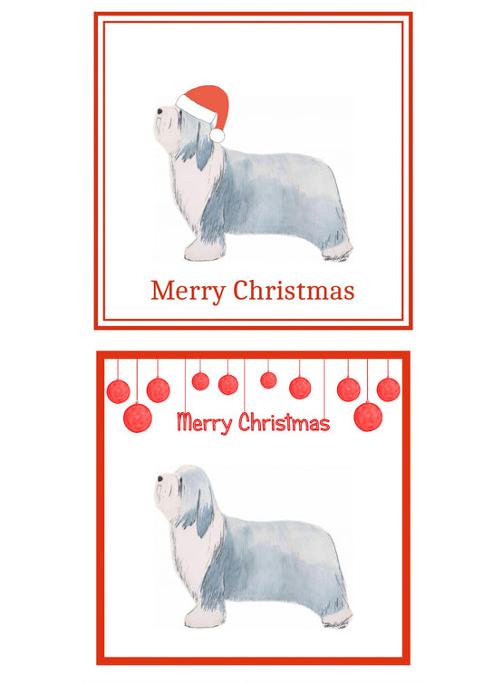 Bearded Collie Christmas Cards Pack of 6