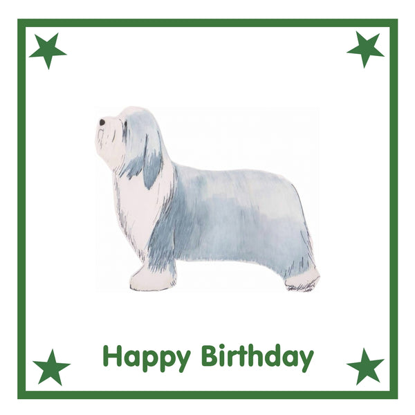 Bearded Collie Greeting Card Choice of 6 Designs BIRTHDAY, THINKING OF YOU, BLANK