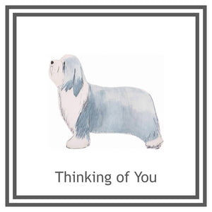 Bearded Collie Greeting Card Choice of 6 Designs BIRTHDAY, THINKING OF YOU, BLANK