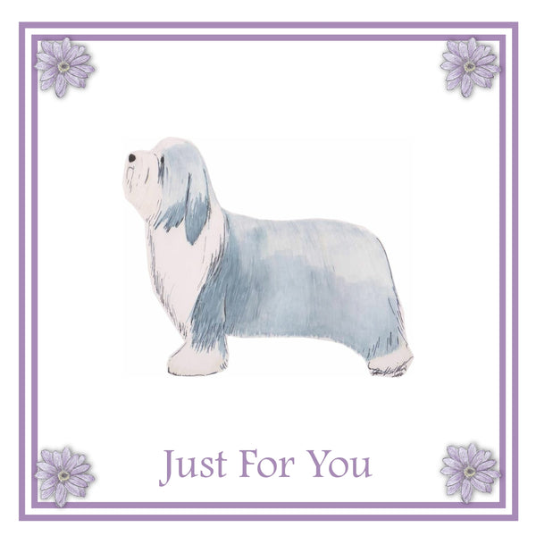 Bearded Collie Greeting Card Choice of 6 Designs BIRTHDAY, THINKING OF YOU, BLANK