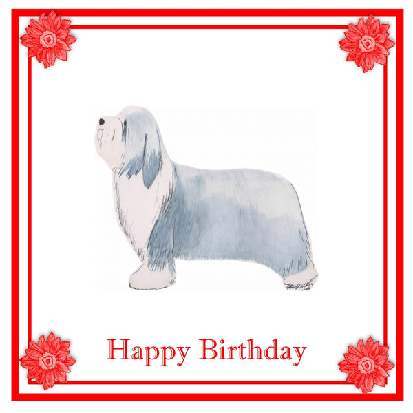 Bearded Collie Greeting Card Choice of 6 Designs BIRTHDAY, THINKING OF YOU, BLANK