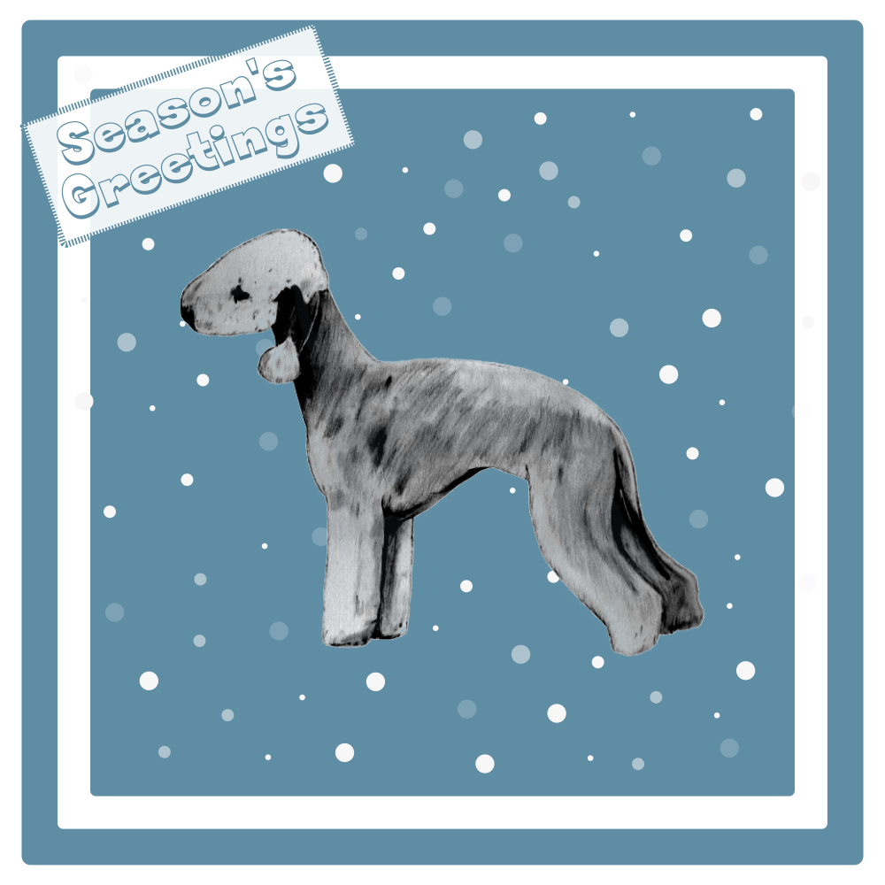 Bedlington Terrier Christmas Card Choice of 3 Card Designs Single or Multi Pack