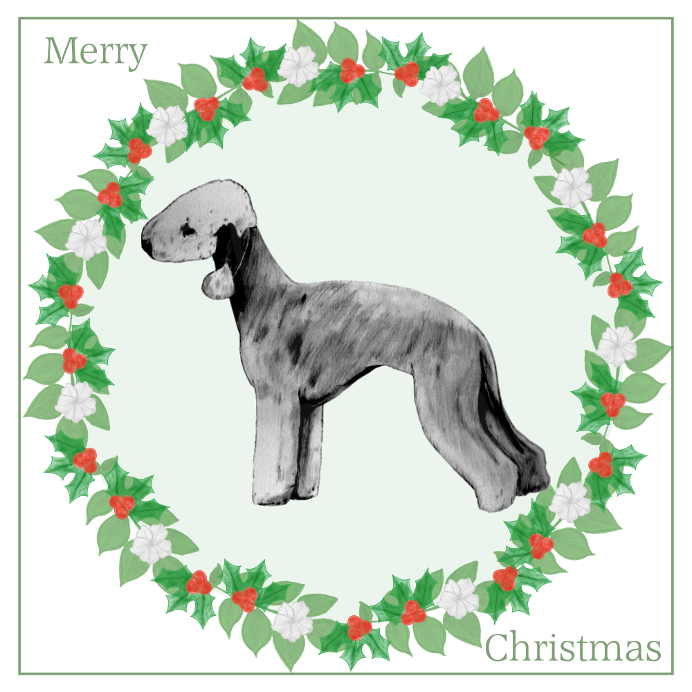 Bedlington Terrier Christmas Card Choice of 3 Card Designs Single or Multi Pack