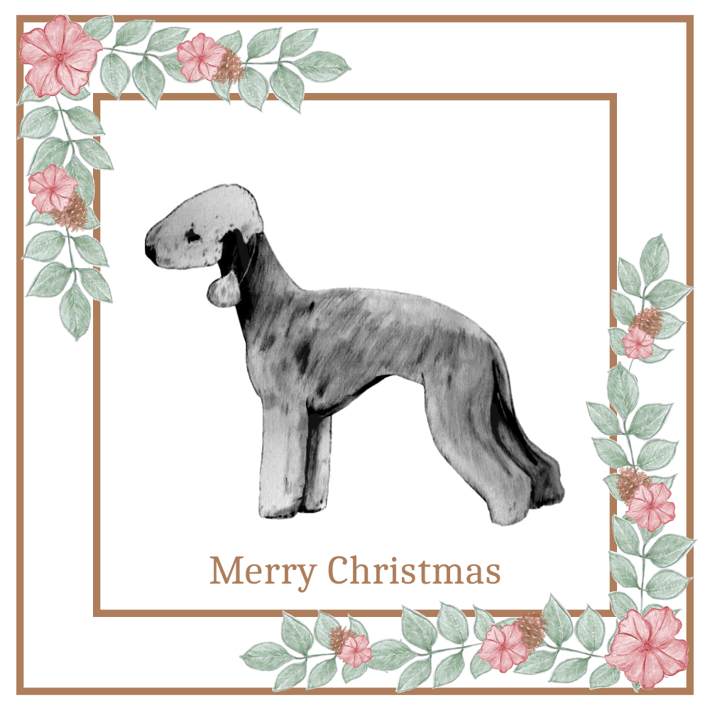 Bedlington Terrier Christmas Card Choice of 3 Card Designs Single or Multi Pack