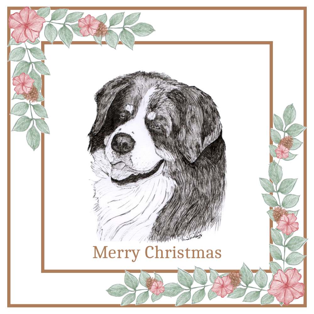 Bernese Mountain Dog Christmas Card Choice of 3 Card Designs Single or Multi Pack