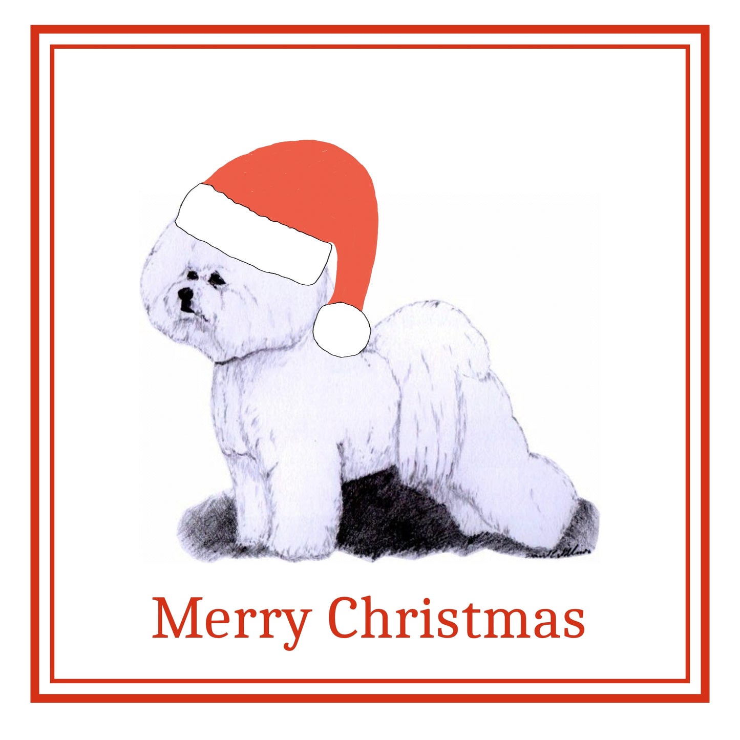 Bichon Christmas Cards Pack of 6