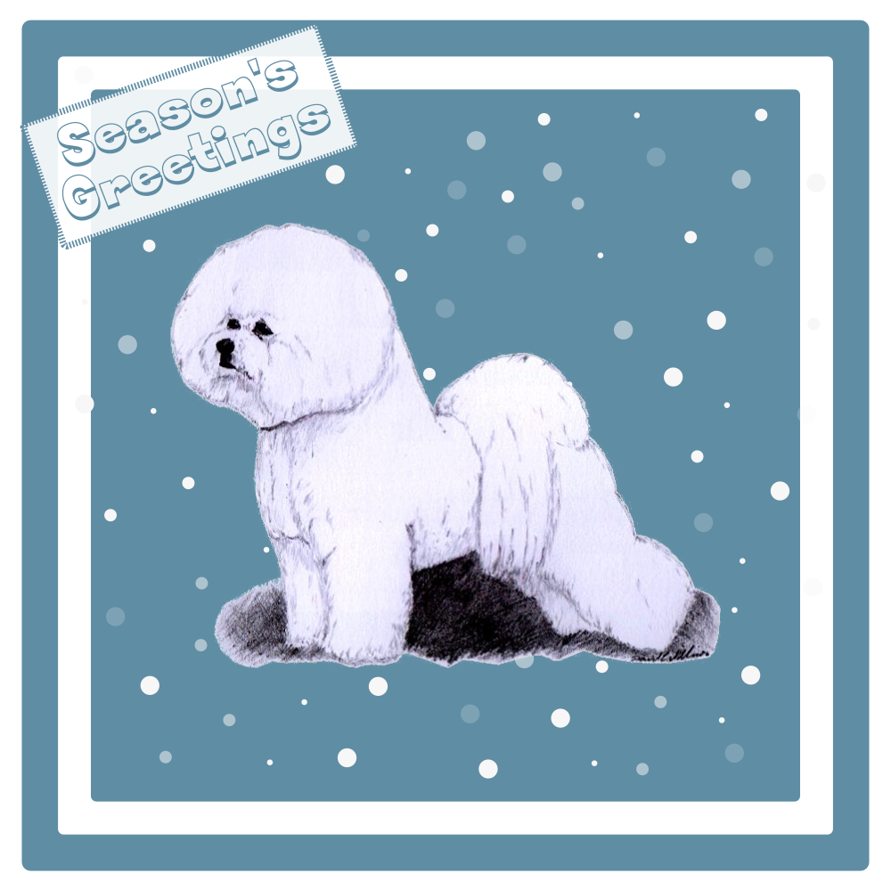 Bichon Frise Christmas Card Choice of 3 Card Designs Single or Multi Pack