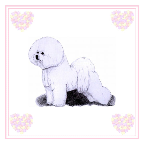 Bichon Frise Greeting Card Choice of 6 Designs BIRTHDAY, THINKING OF YOU, BLANK