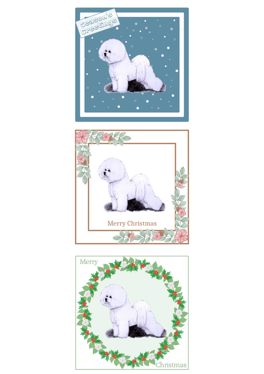 Bichon Frise Christmas Card Choice of 3 Card Designs Single or Multi Pack