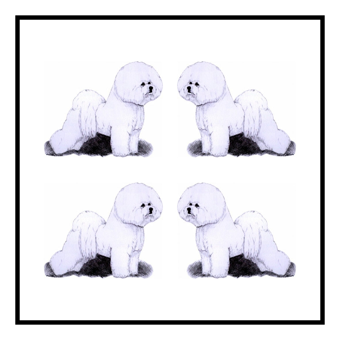 Bichon Frise Greeting Card Choice of 6 Designs BIRTHDAY, THINKING OF YOU, BLANK