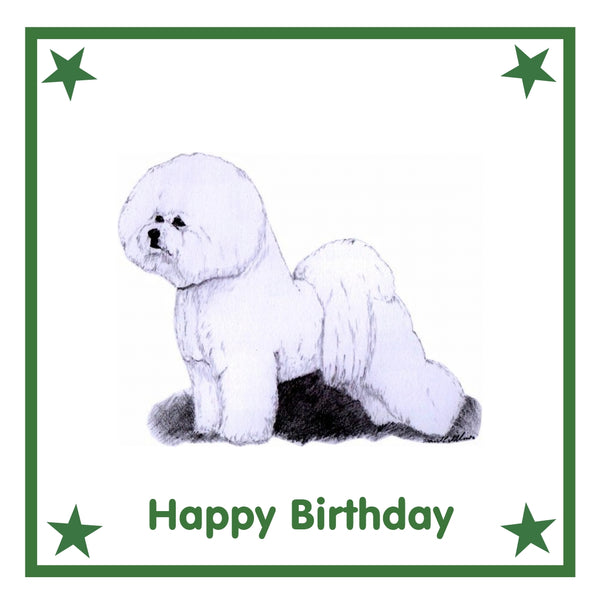 Bichon Frise Greeting Card Choice of 6 Designs BIRTHDAY, THINKING OF YOU, BLANK