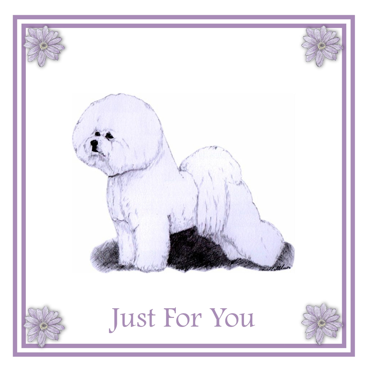Bichon Frise Greeting Card Choice of 6 Designs BIRTHDAY, THINKING OF YOU, BLANK