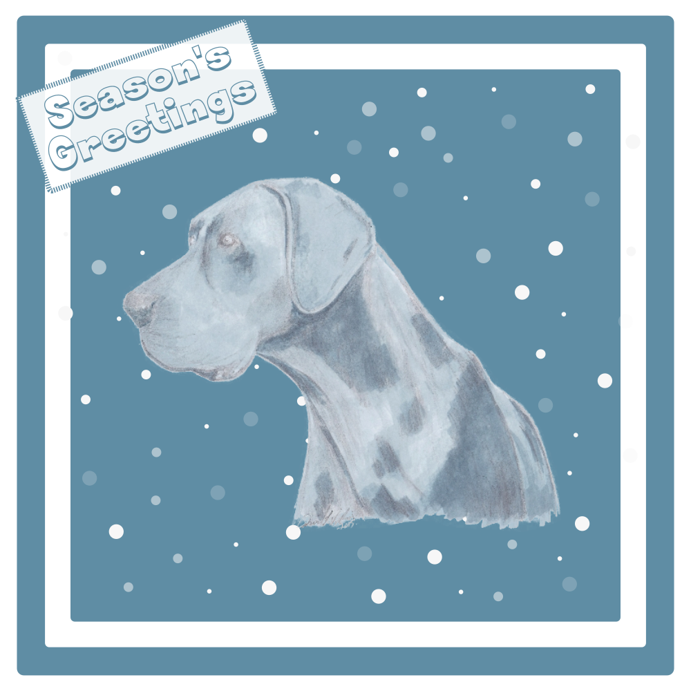 Blue Great Dane Christmas Card Choice of 3 Card Designs Single or Multi Pack