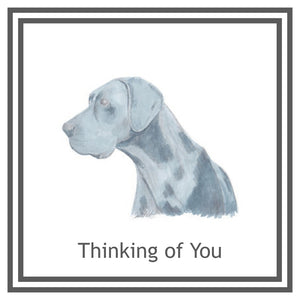 Blue Great Dane Greeting Card Choice of 6 Designs BIRTHDAY, THINKING OF YOU, BLANK