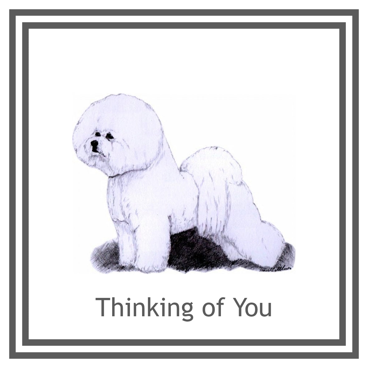 Bichon Frise Greeting Card Choice of 6 Designs BIRTHDAY, THINKING OF YOU, BLANK