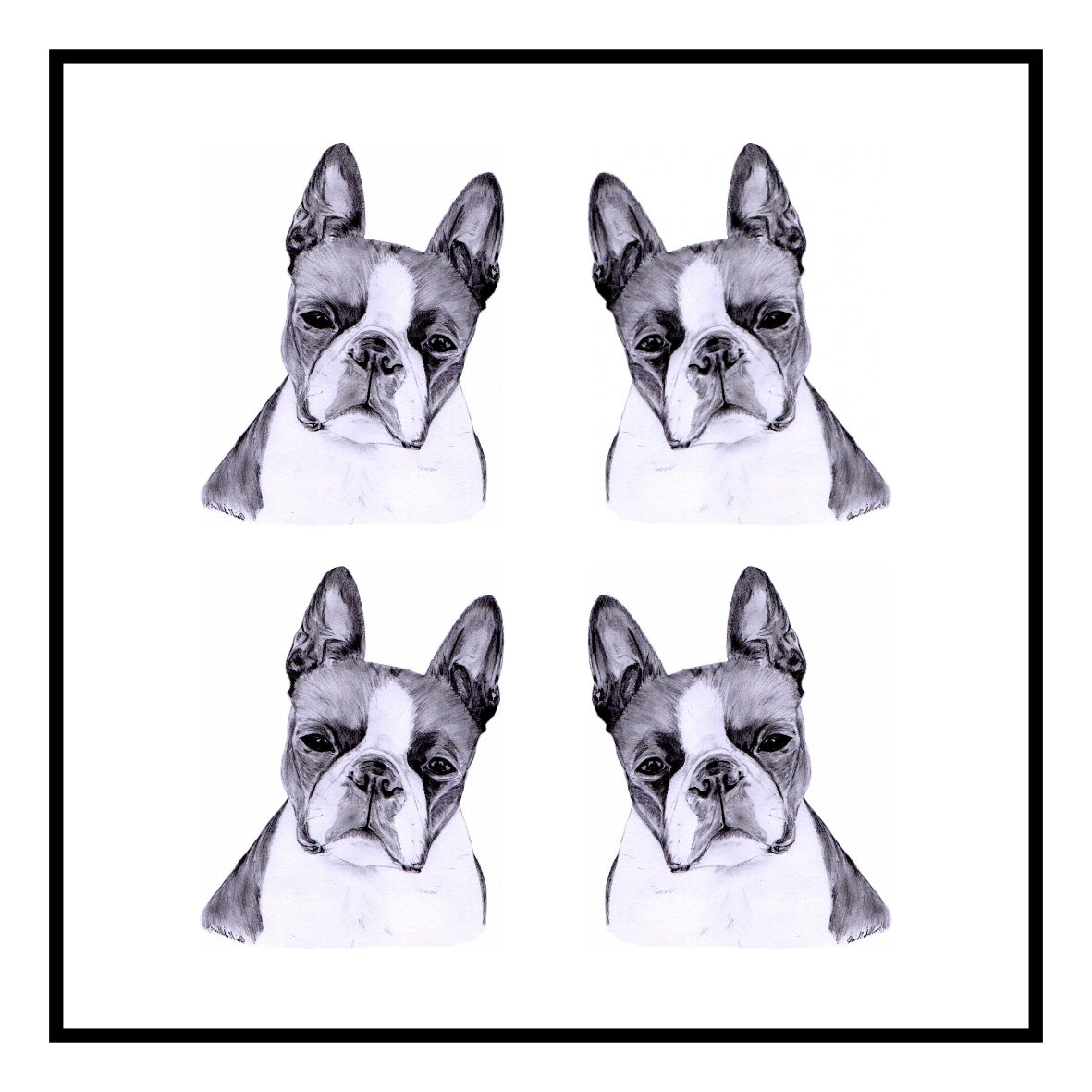 Boston Terrier Greeting Card Choice of 6 Designs BIRTHDAY, THINKING OF YOU, BLANK