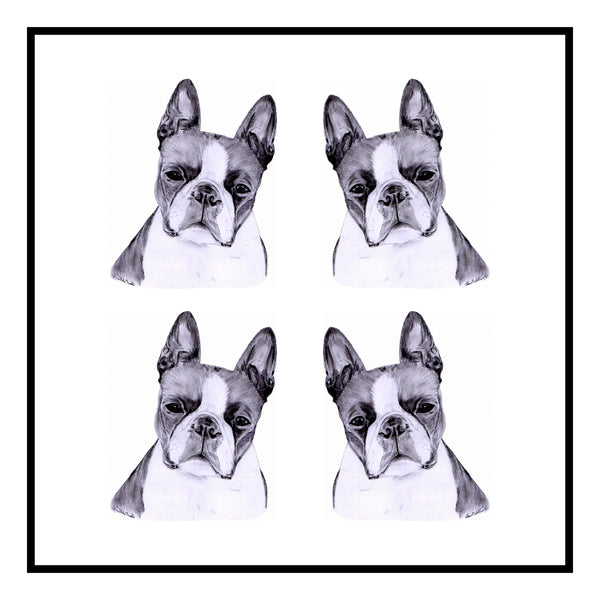 Boston Terrier Greeting Card Choice of 6 Designs BIRTHDAY, THINKING OF YOU, BLANK