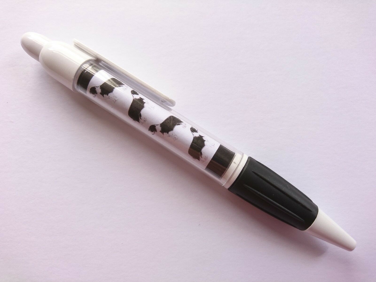 Border Collie Pen