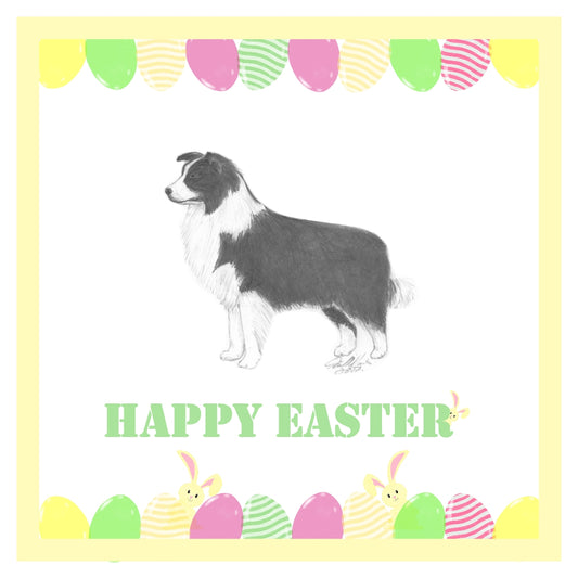 Border Collie Easter Card 1 Card or Pack of 3 Cards