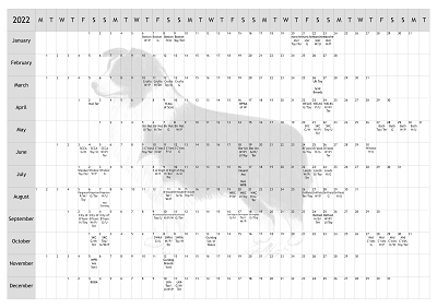 Border Collie Show 2022 Year Planner A4