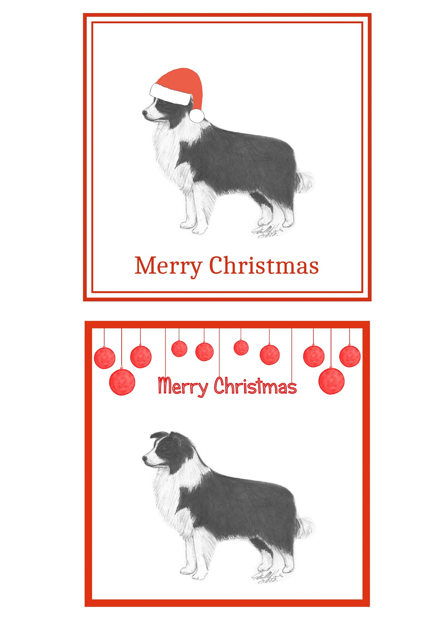 Border Collie Christmas Cards Pack of 6