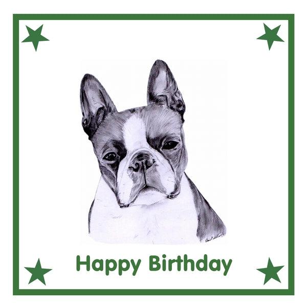 Boston Terrier Greeting Card Choice of 6 Designs BIRTHDAY, THINKING OF YOU, BLANK