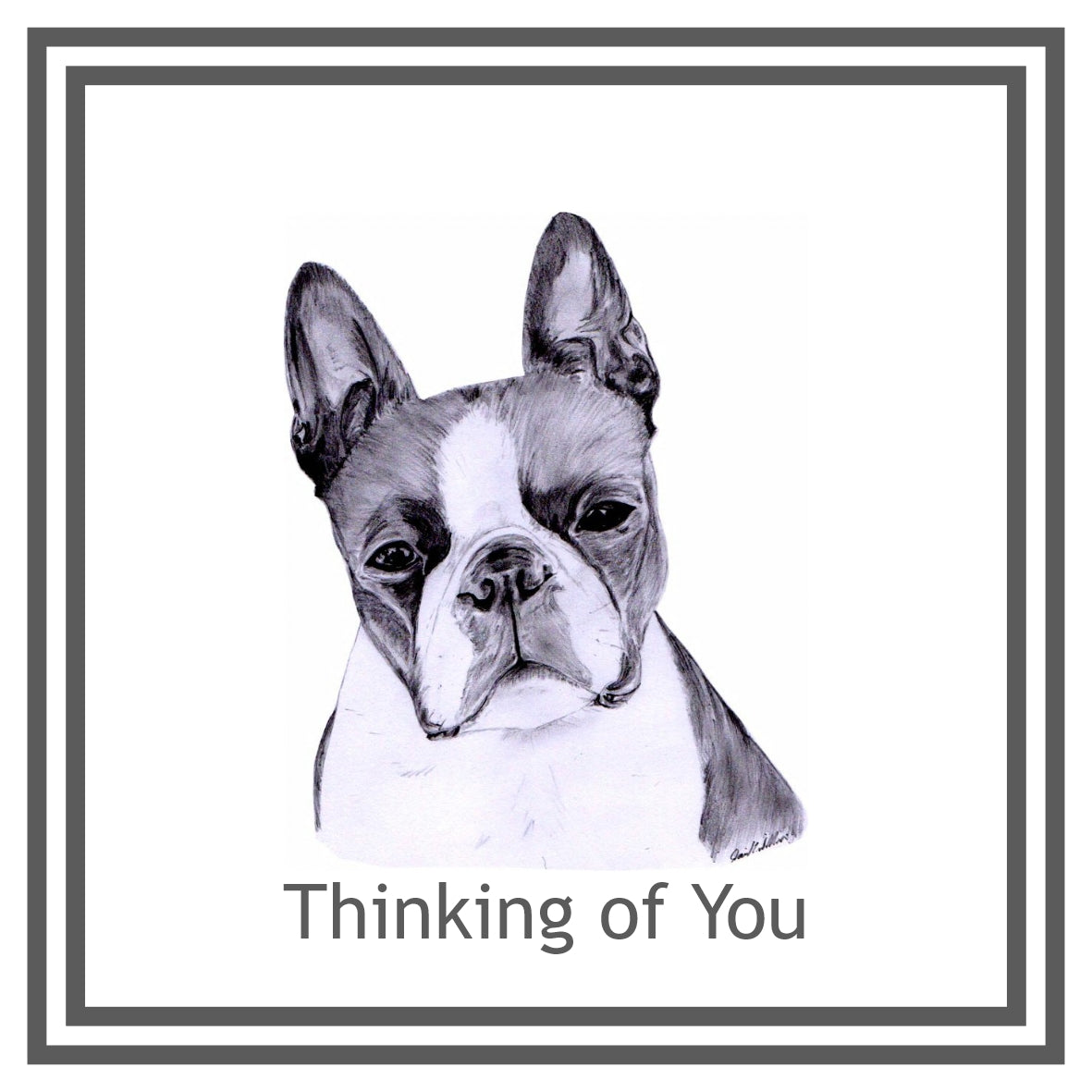 Boston Terrier Greeting Card Choice of 6 Designs BIRTHDAY, THINKING OF YOU, BLANK