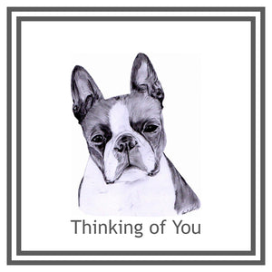 Boston Terrier Greeting Card Choice of 6 Designs BIRTHDAY, THINKING OF YOU, BLANK