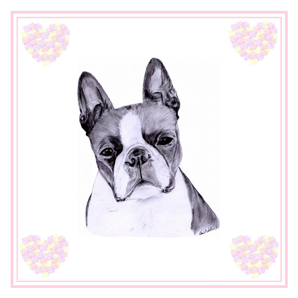 Boston Terrier Greeting Card Choice of 6 Designs BIRTHDAY, THINKING OF YOU, BLANK