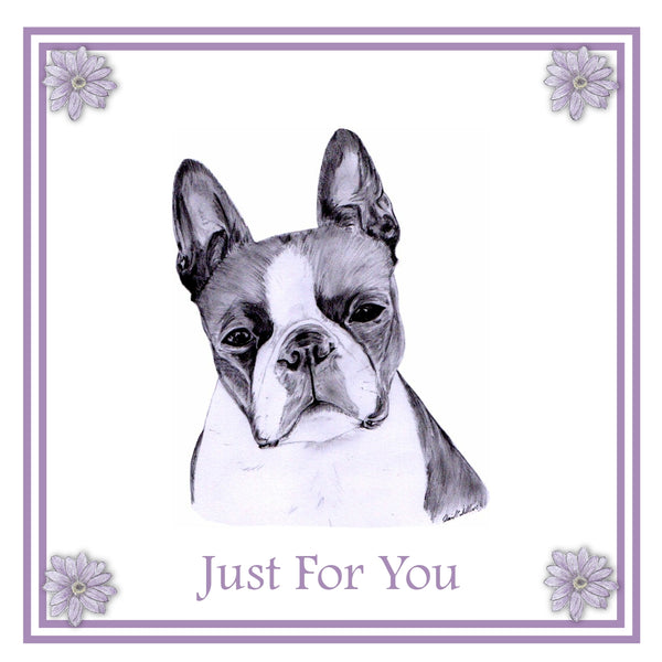 Boston Terrier Greeting Card Choice of 6 Designs BIRTHDAY, THINKING OF YOU, BLANK