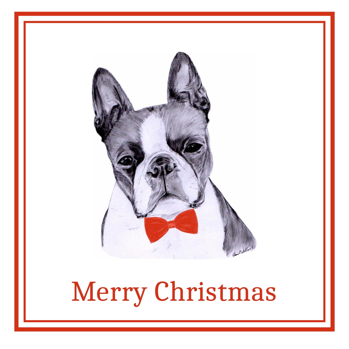 Boston Terrier Christmas Cards Pack of 6