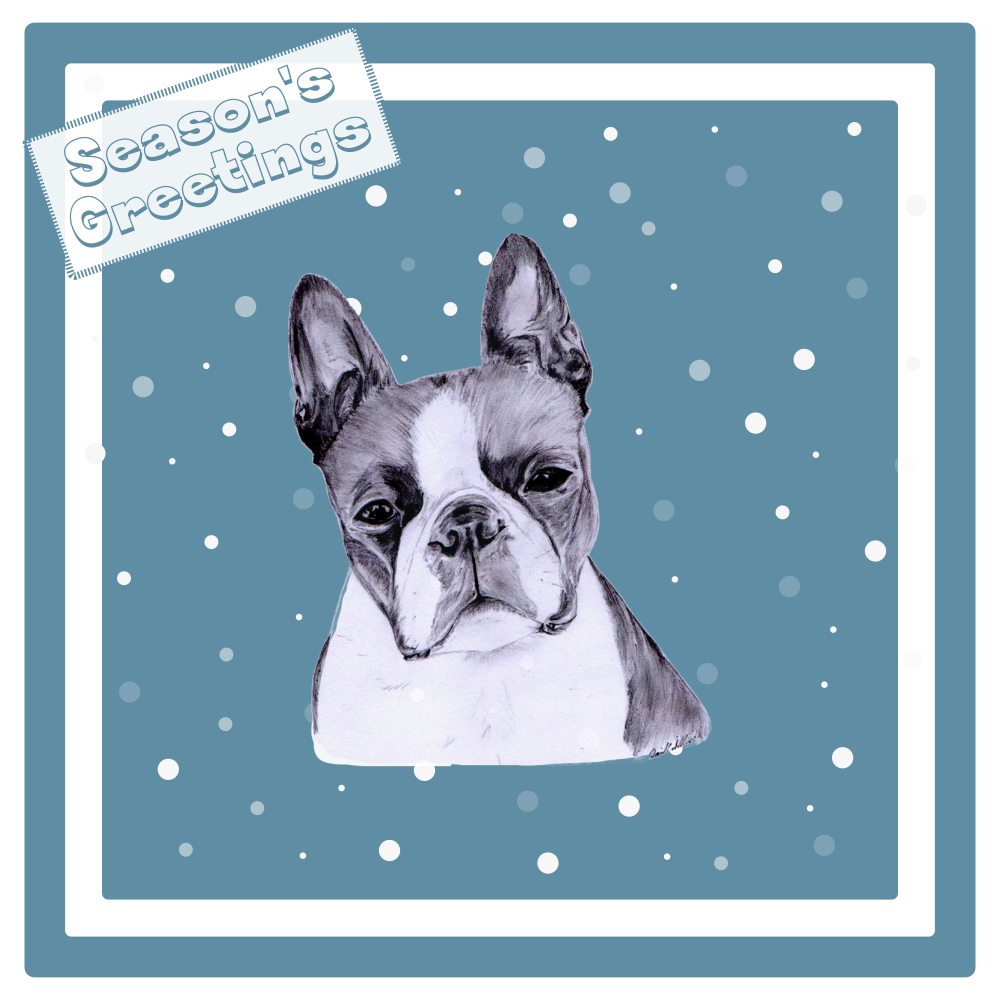 Boston Terrier Christmas Card Choice of 3 Card Designs Single or Multi Pack