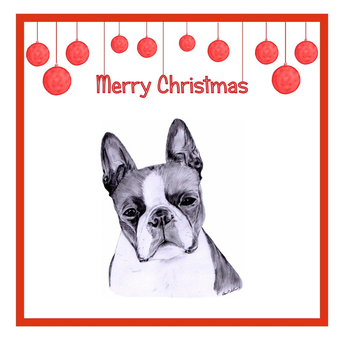 Boston Terrier Christmas Cards Pack of 6