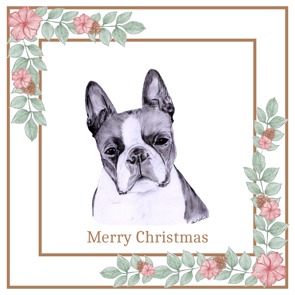 Boston Terrier Christmas Card Choice of 3 Card Designs Single or Multi Pack