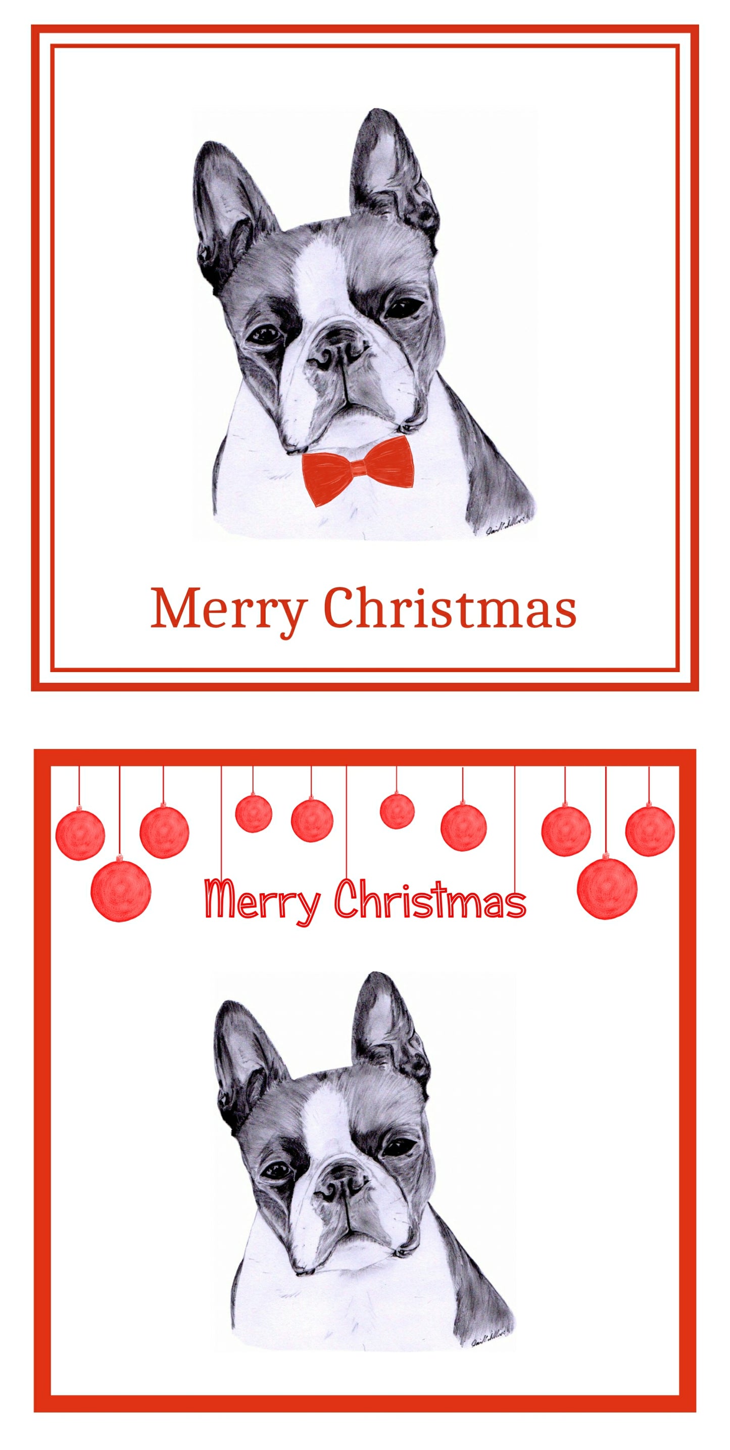 Boston Terrier Christmas Cards Pack of 6