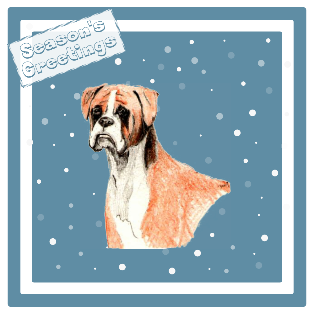 Boxer Christmas Card Choice of 3 Card Designs Single or Multi Pack