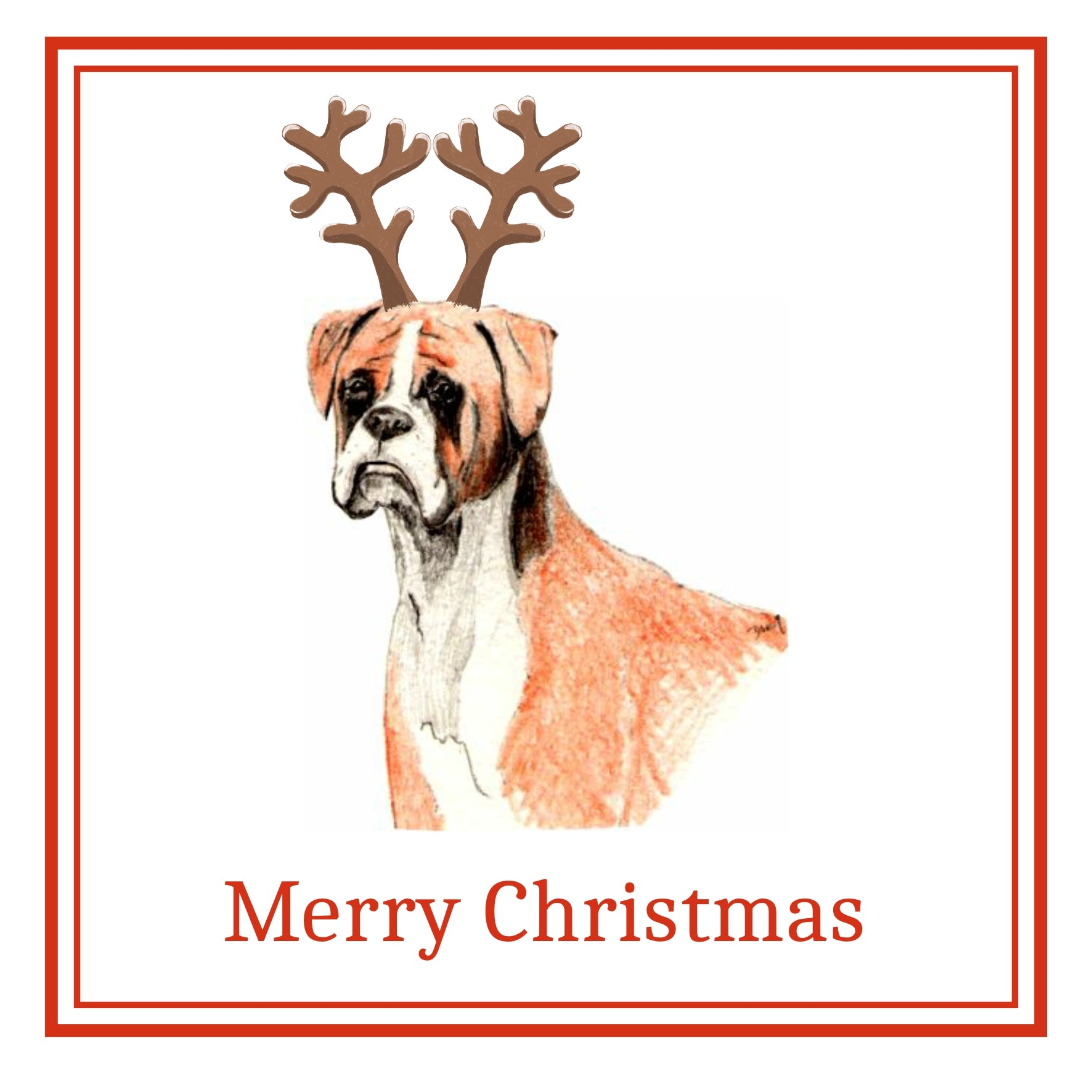 Boxer Christmas Cards Pack of 6