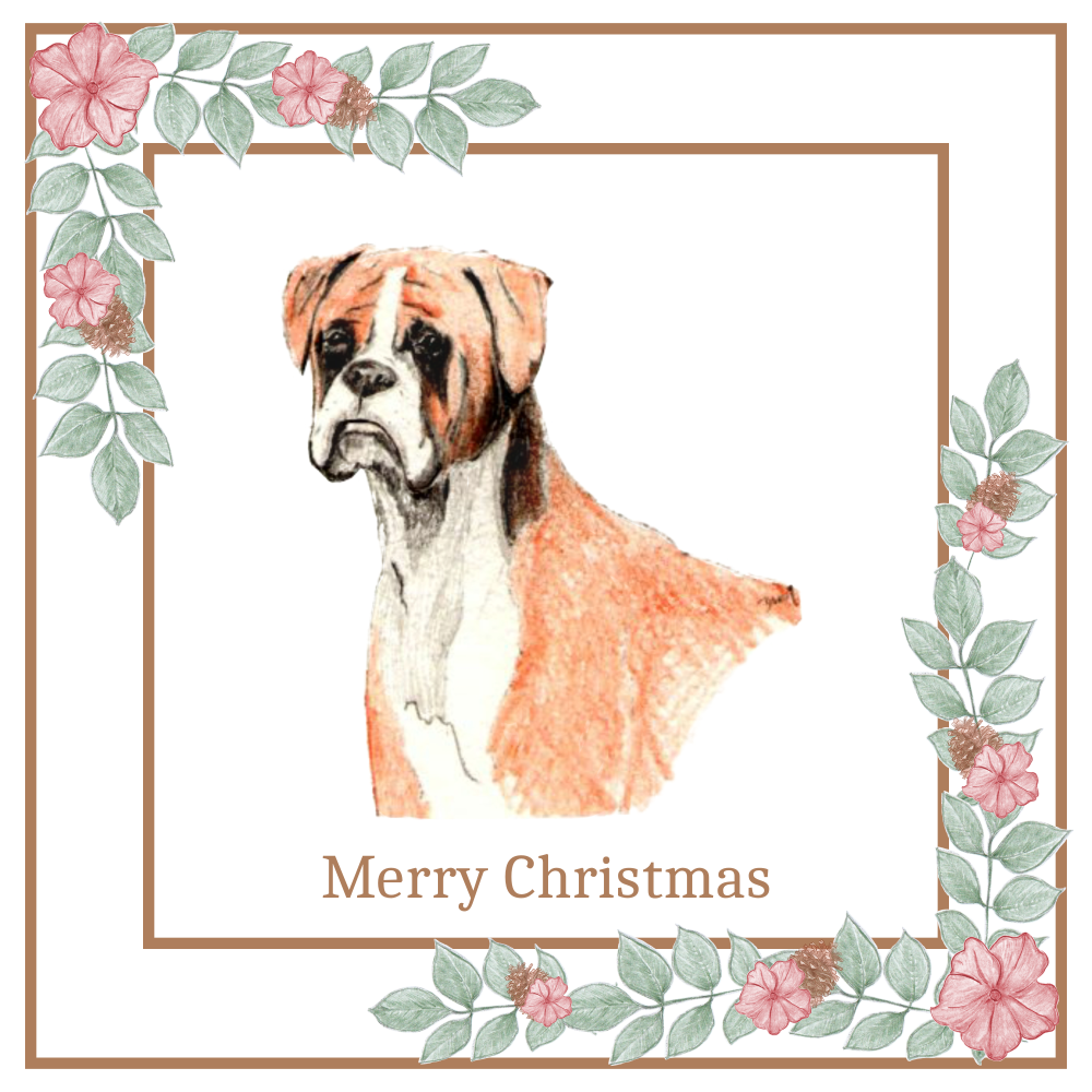 Boxer Christmas Card Choice of 3 Card Designs Single or Multi Pack