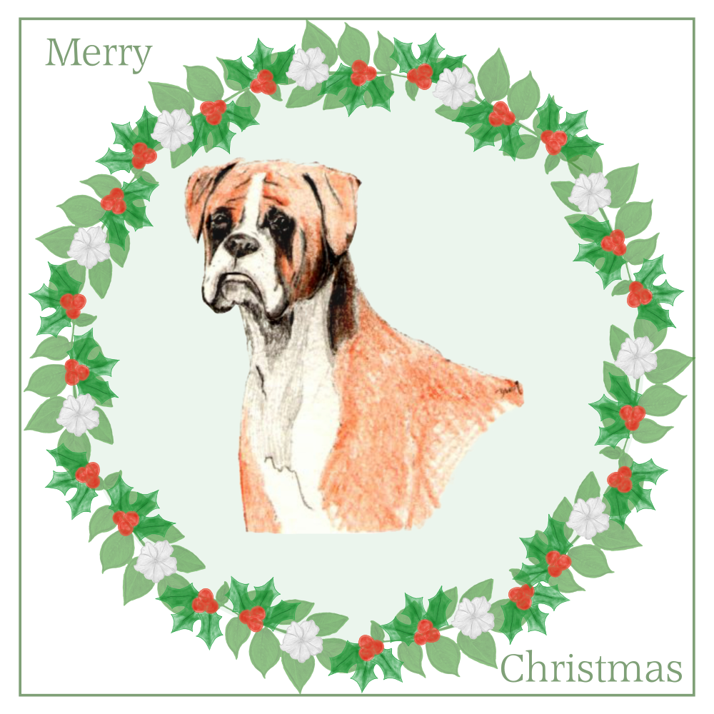 Boxer Christmas Card Choice of 3 Card Designs Single or Multi Pack