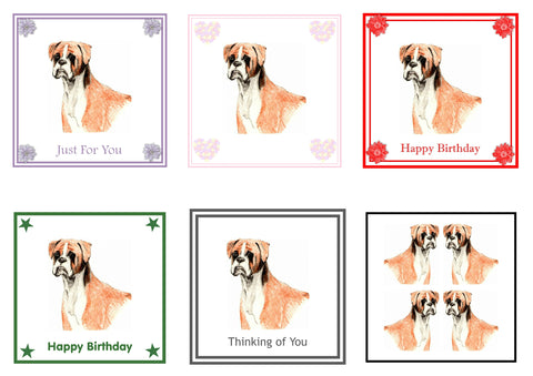 Boxer Greeting Card Choice of 6 Designs BIRTHDAY, THINKING OF YOU, BLANK