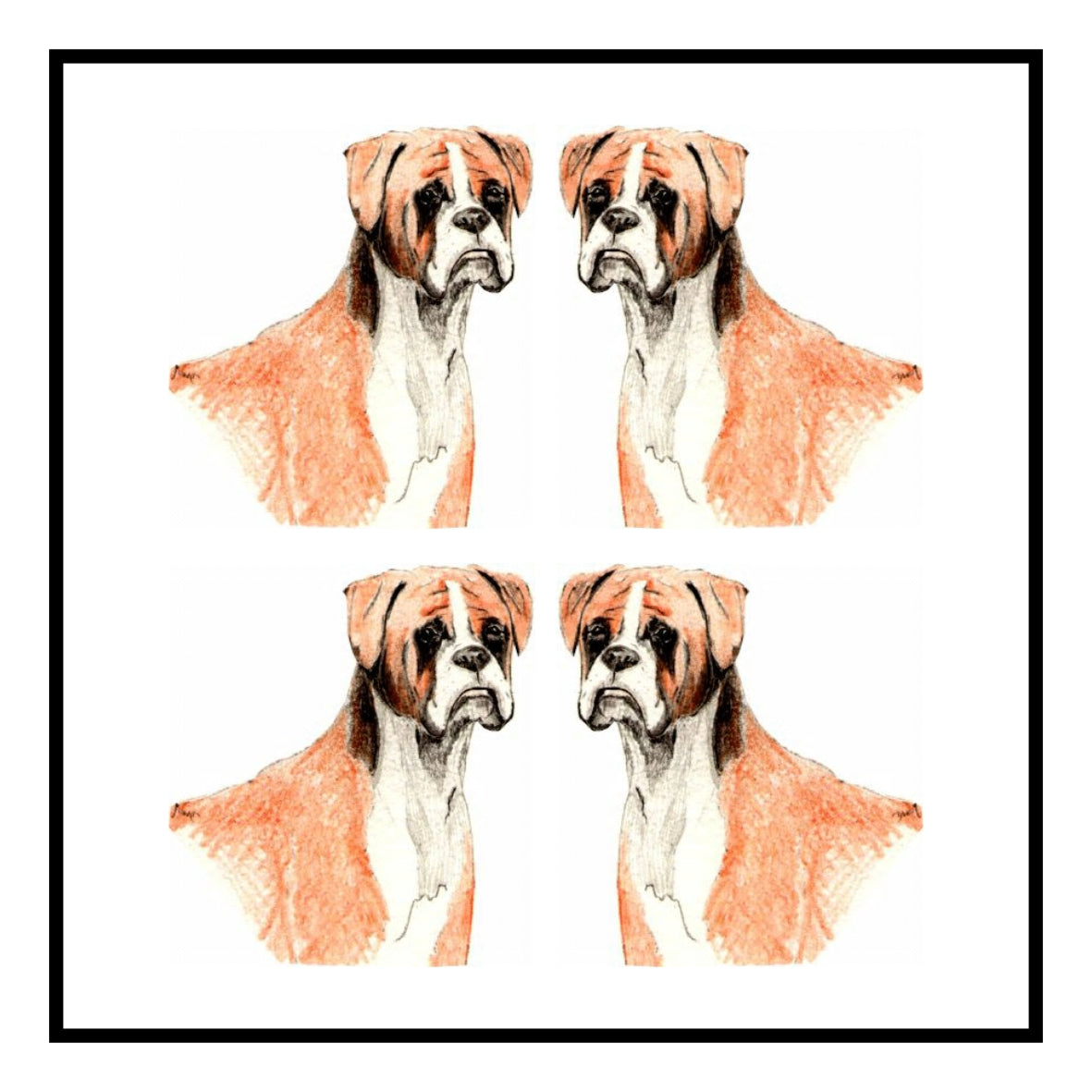 Boxer Greeting Card Choice of 6 Designs BIRTHDAY, THINKING OF YOU, BLANK