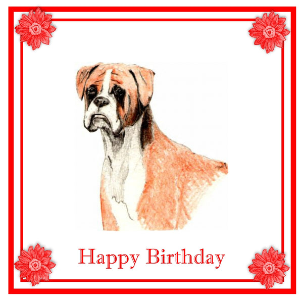 Boxer Greeting Card Choice of 6 Designs BIRTHDAY, THINKING OF YOU, BLANK