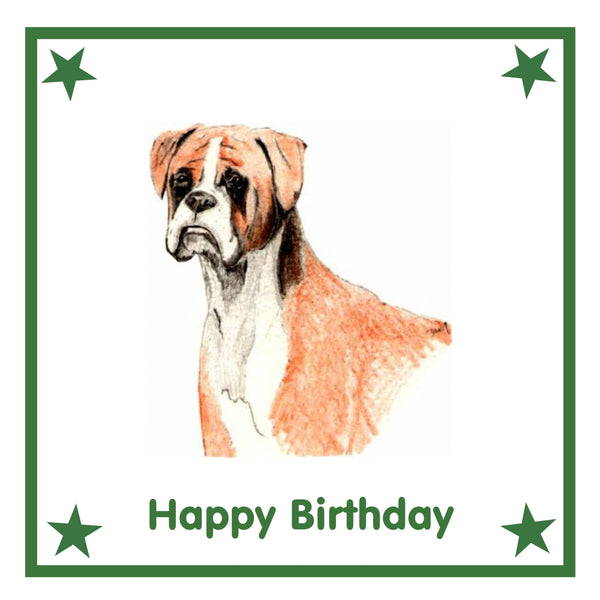 Boxer Greeting Card Choice of 6 Designs BIRTHDAY, THINKING OF YOU, BLANK