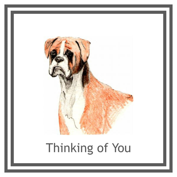 Boxer Greeting Card Choice of 6 Designs BIRTHDAY, THINKING OF YOU, BLANK