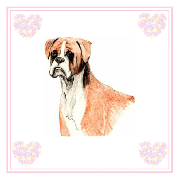 Boxer Greeting Card Choice of 6 Designs BIRTHDAY, THINKING OF YOU, BLANK