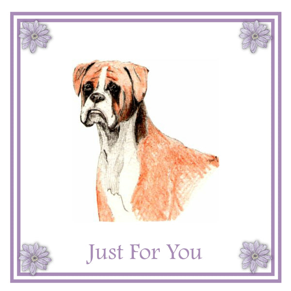 Boxer Greeting Card Choice of 6 Designs BIRTHDAY, THINKING OF YOU, BLANK