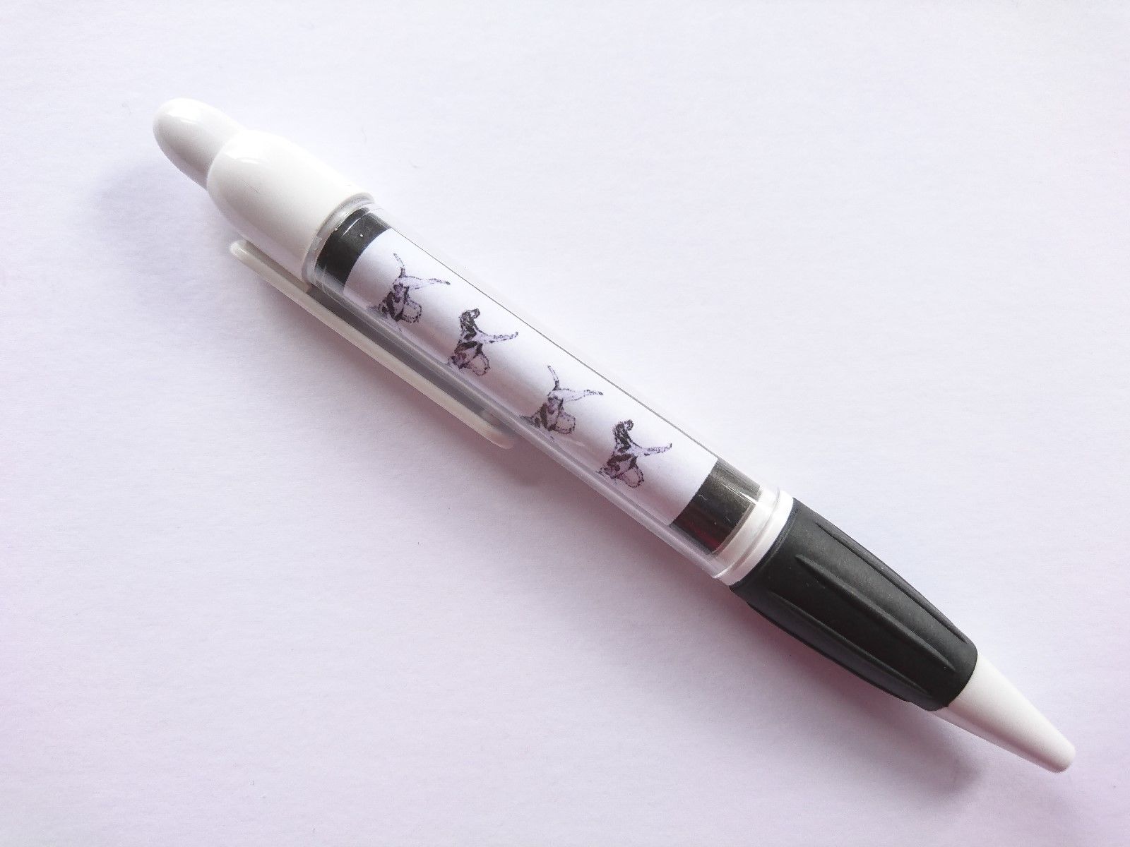 Bracco Italiano Pen